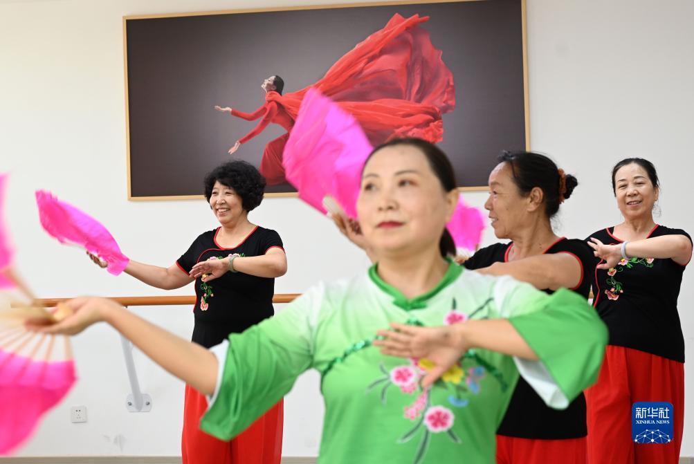 菠菜发布站